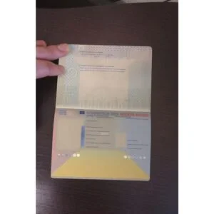 Dutch passport online