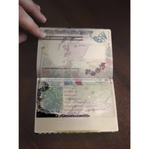 UK Passport Online
