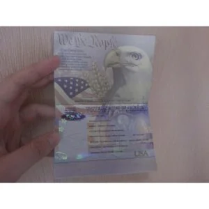 American passport online