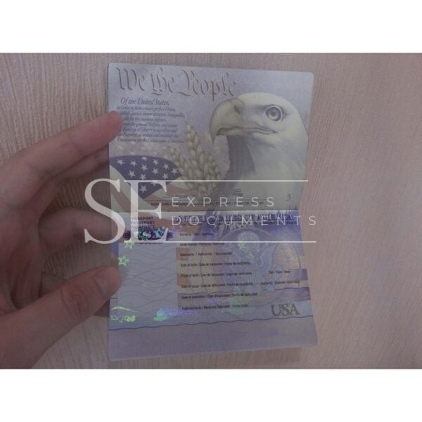 American passport online