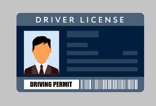 Drivers-licence-online